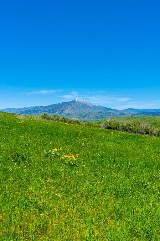1856 Star Ridge Road, Bozeman, Montana 59715, Bozeman, Montana 59715, ,Land,For Sale,1856 Star Ridge Road, Bozeman, Montana 59715,403078