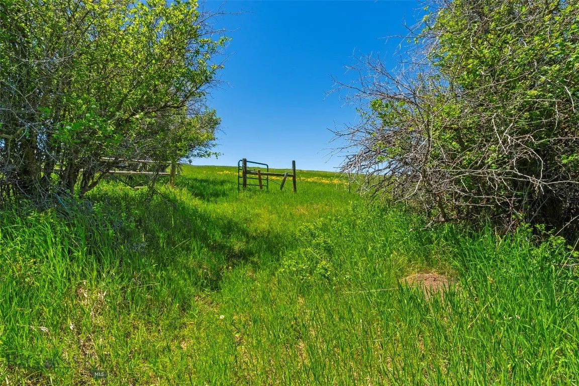 1856 Star Ridge Road, Bozeman, Montana 59715, Bozeman, Montana 59715, ,Land,For Sale,1856 Star Ridge Road, Bozeman, Montana 59715,403078