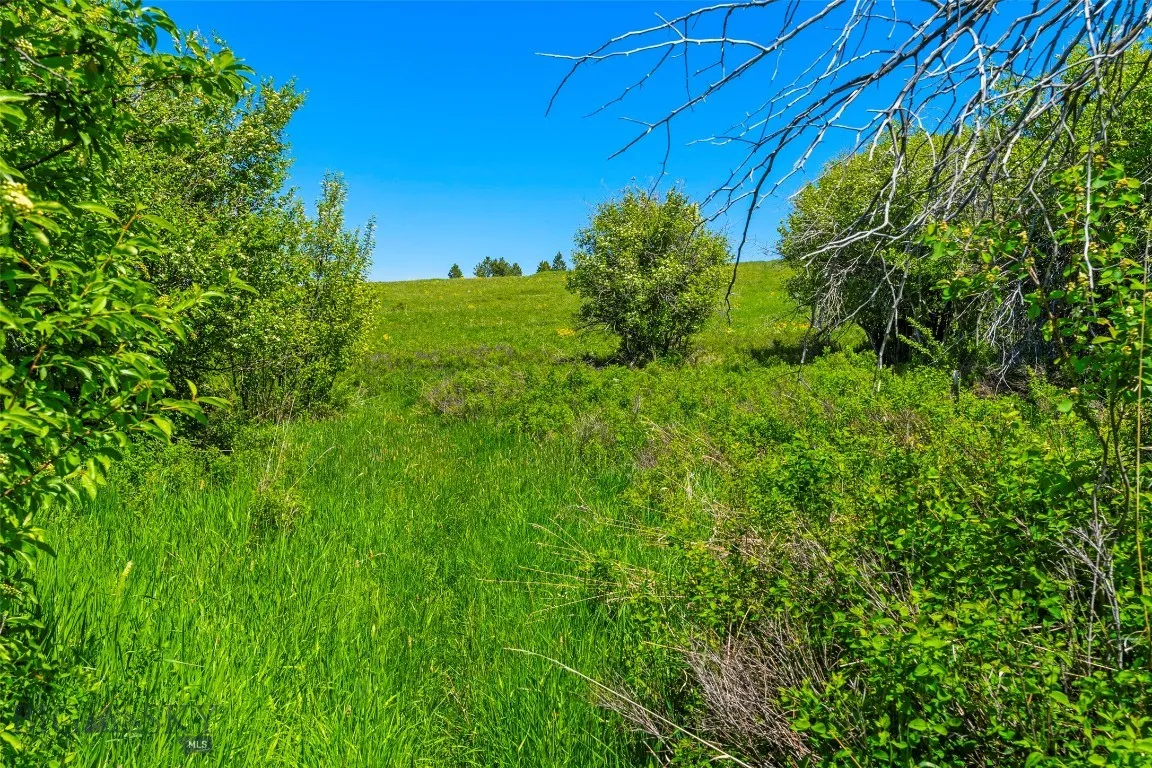 1856 Star Ridge Road, Bozeman, Montana 59715, Bozeman, Montana 59715, ,Land,For Sale,1856 Star Ridge Road, Bozeman, Montana 59715,403078