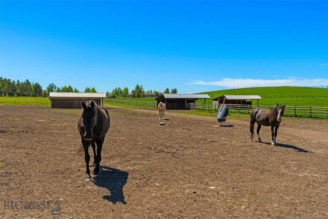 1856 Star Ridge Road, Bozeman, Montana 59715, Bozeman, Montana 59715, ,Land,For Sale,1856 Star Ridge Road, Bozeman, Montana 59715,403078