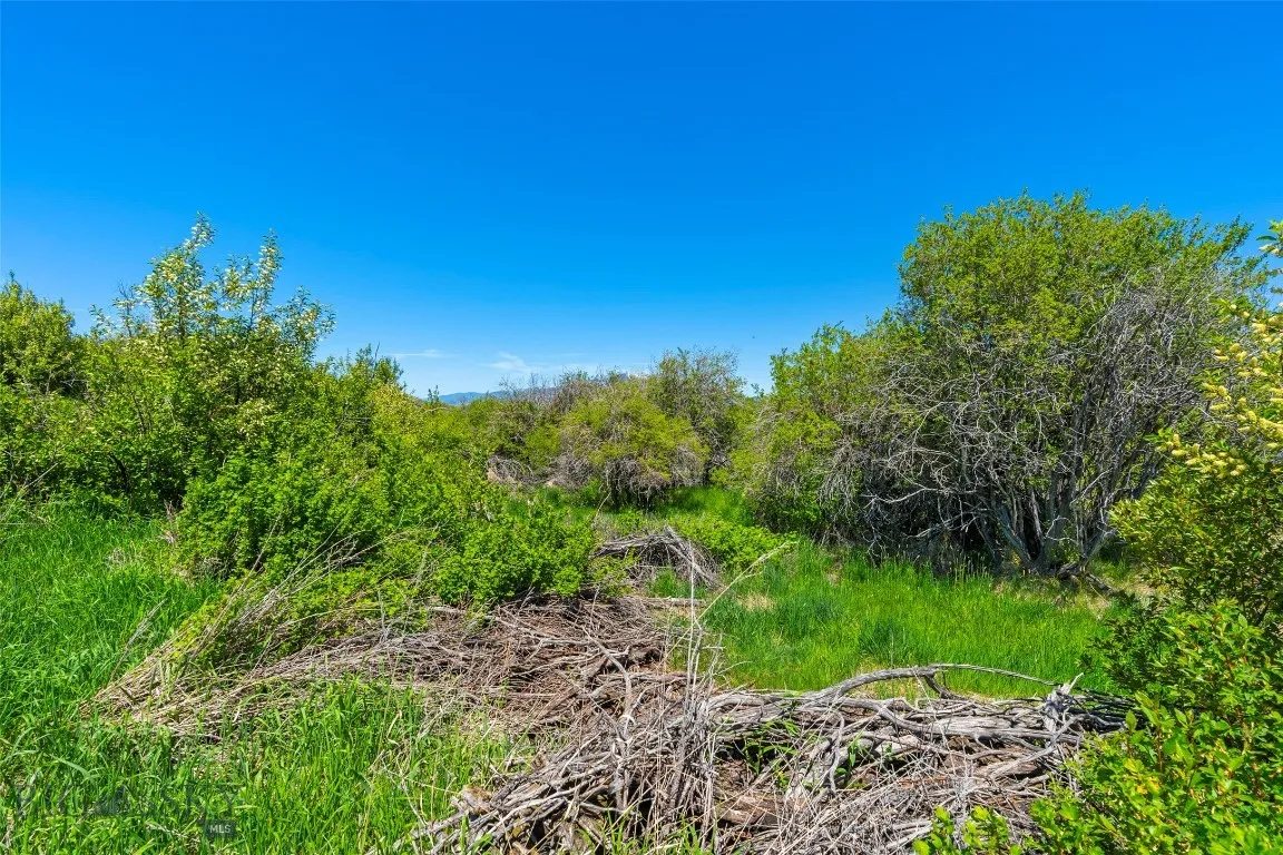 1856 Star Ridge Road, Bozeman, Montana 59715, Bozeman, Montana 59715, ,Land,For Sale,1856 Star Ridge Road, Bozeman, Montana 59715,403078