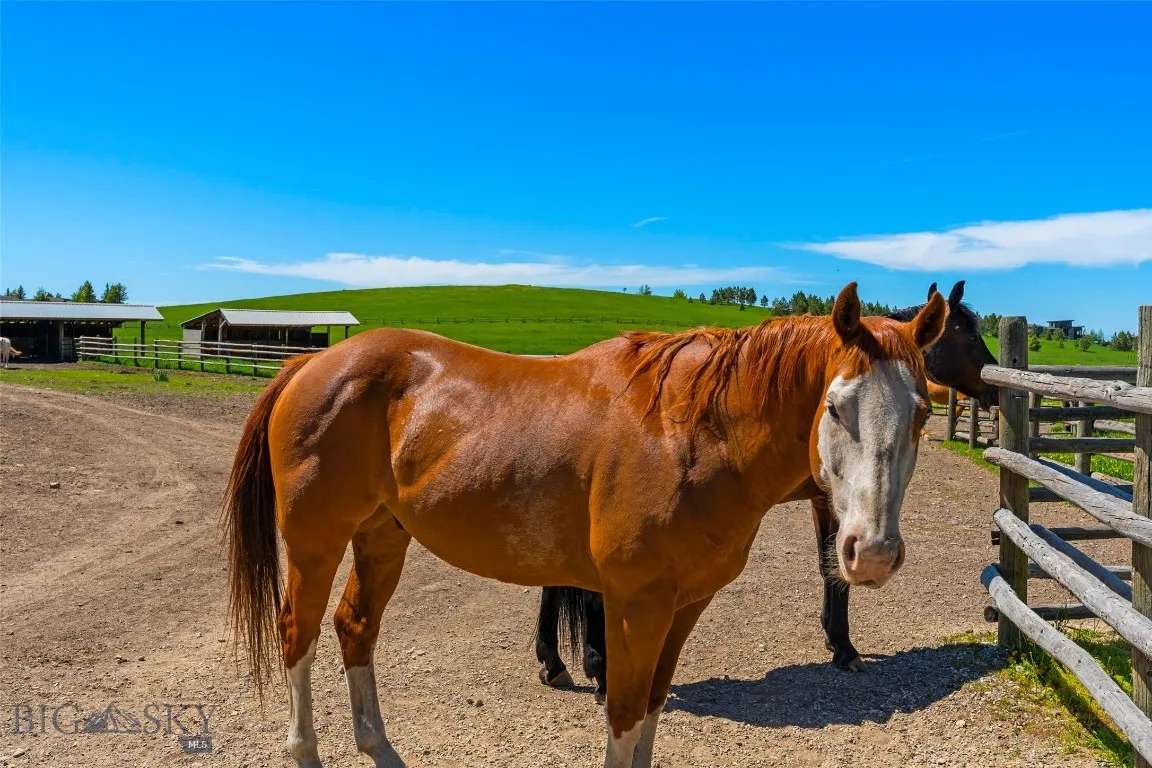 1856 Star Ridge Road, Bozeman, Montana 59715, Bozeman, Montana 59715, ,Land,For Sale,1856 Star Ridge Road, Bozeman, Montana 59715,403078