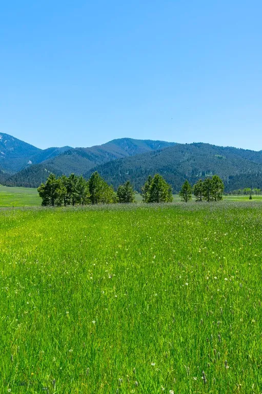1856 Star Ridge Road, Bozeman, Montana 59715, Bozeman, Montana 59715, ,Land,For Sale,1856 Star Ridge Road, Bozeman, Montana 59715,403078