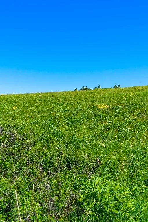 1856 Star Ridge Road, Bozeman, Montana 59715, Bozeman, Montana 59715, ,Land,For Sale,1856 Star Ridge Road, Bozeman, Montana 59715,403078