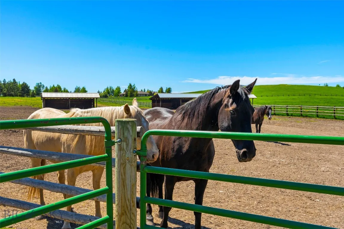 1856 Star Ridge Road, Bozeman, Montana 59715, Bozeman, Montana 59715, ,Land,For Sale,1856 Star Ridge Road, Bozeman, Montana 59715,403078