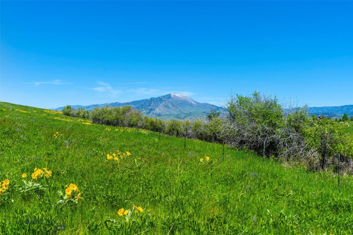 1856 Star Ridge Road, Bozeman, Montana 59715, Bozeman, Montana 59715, ,Land,For Sale,1856 Star Ridge Road, Bozeman, Montana 59715,403078