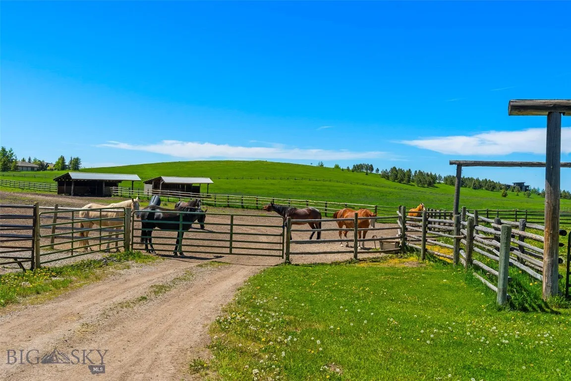 1856 Star Ridge Road, Bozeman, Montana 59715, Bozeman, Montana 59715, ,Land,For Sale,1856 Star Ridge Road, Bozeman, Montana 59715,403078