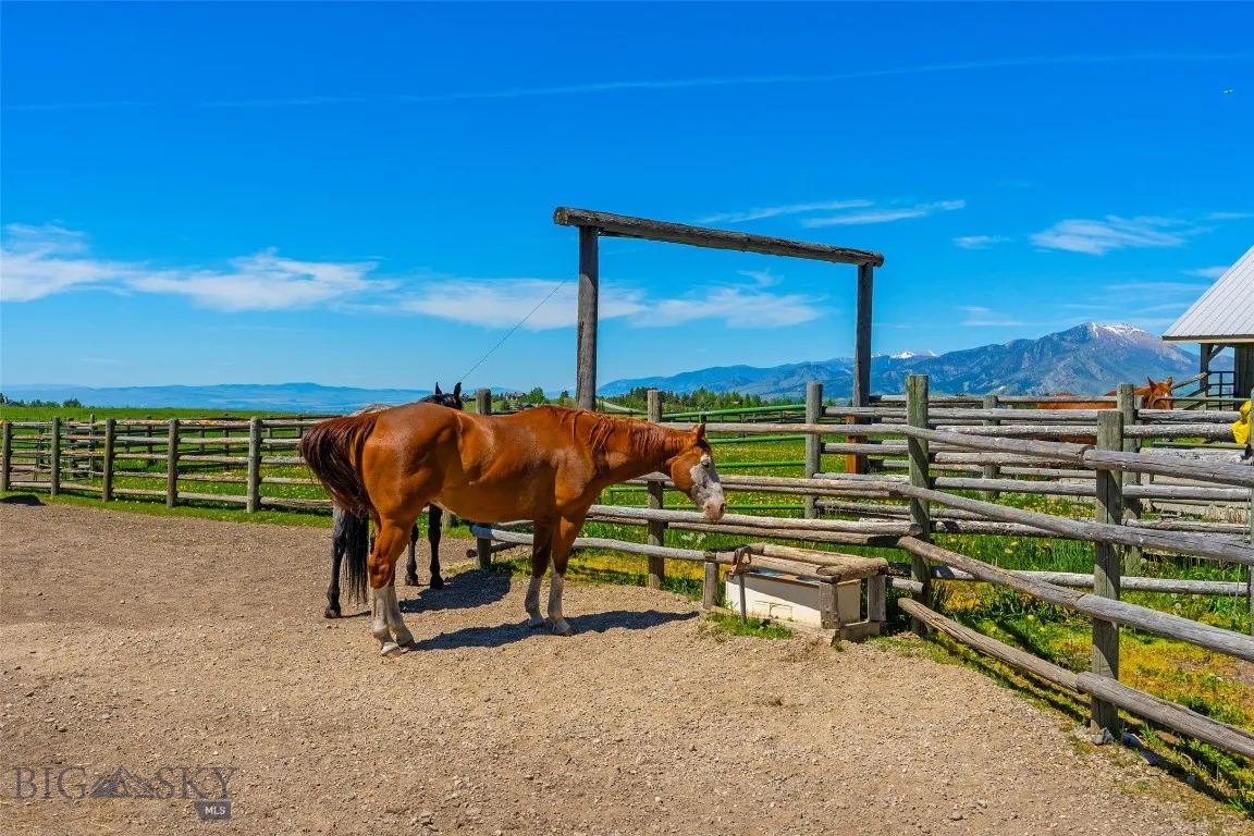 1856 Star Ridge Road, Bozeman, Montana 59715, Bozeman, Montana 59715, ,Land,For Sale,1856 Star Ridge Road, Bozeman, Montana 59715,403078