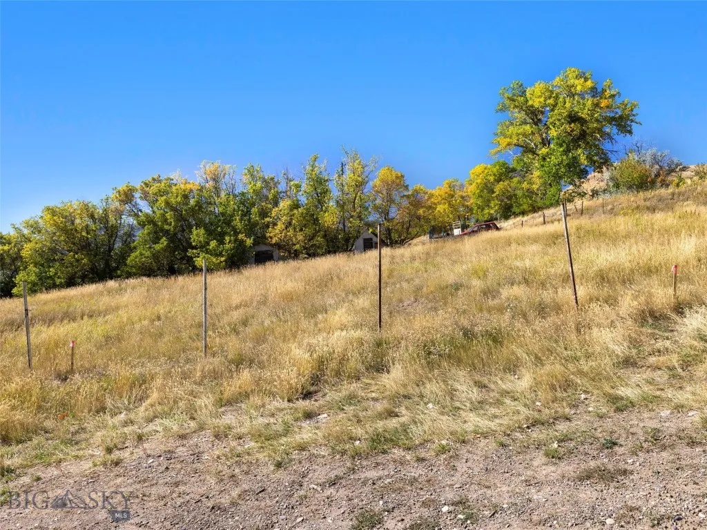 Tbd N L Street, Livingston, Montana 59047, Livingston, Montana 59047, ,Land,For Sale,Tbd N L Street, Livingston, Montana 59047,403156
