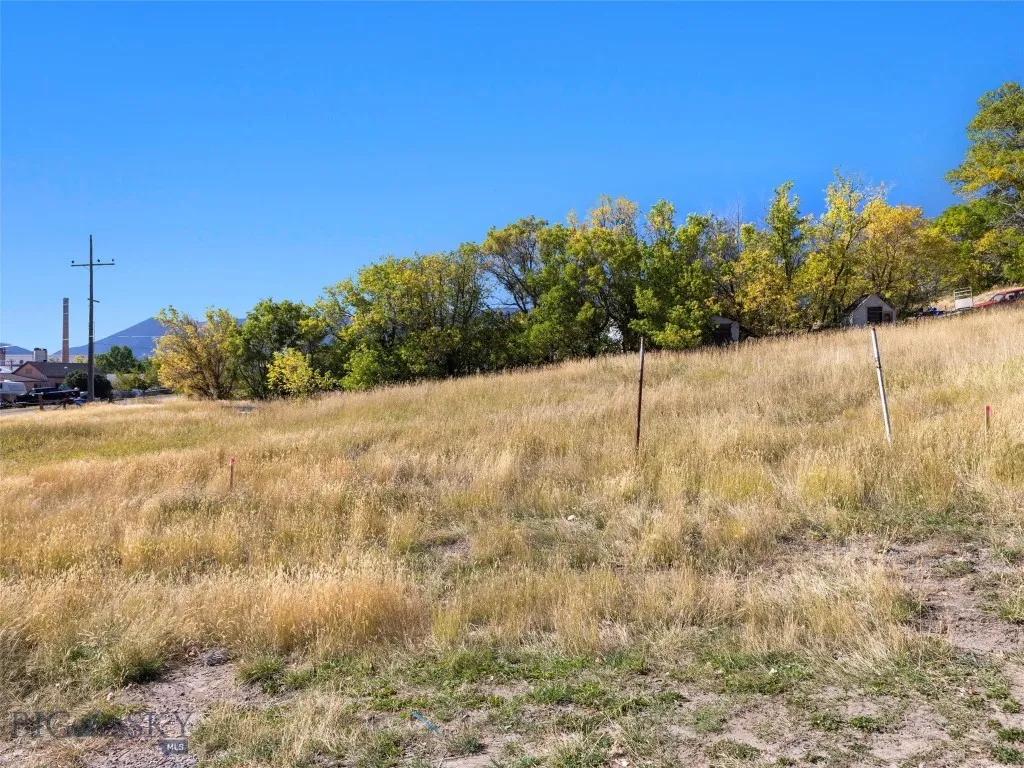 Tbd N L Street, Livingston, Montana 59047, Livingston, Montana 59047, ,Land,For Sale,Tbd N L Street, Livingston, Montana 59047,403156