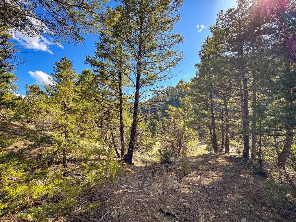 Tbd (28.6+/- Acres) High Ore Road, Boulder, Montan, Boulder, Montana 59632, ,Land,For Sale,Tbd (28.6+/- Acres) High Ore Road, Boulder, Montan,403157