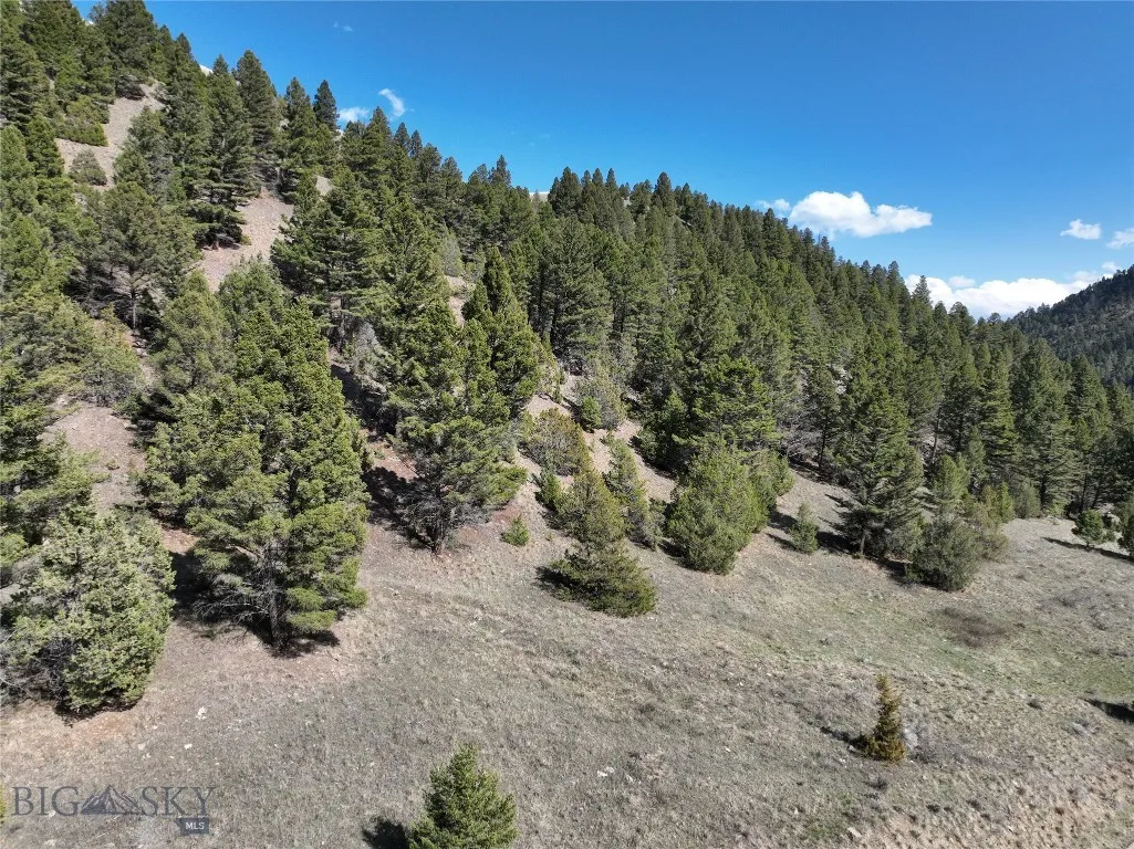 Tbd (28.6+/- Acres) High Ore Road, Boulder, Montan, Boulder, Montana 59632, ,Land,For Sale,Tbd (28.6+/- Acres) High Ore Road, Boulder, Montan,403157