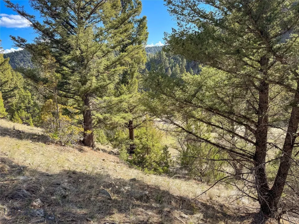 Tbd (28.6+/- Acres) High Ore Road, Boulder, Montan, Boulder, Montana 59632, ,Land,For Sale,Tbd (28.6+/- Acres) High Ore Road, Boulder, Montan,403157