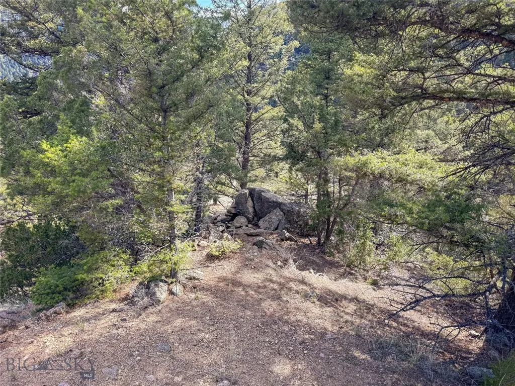 Tbd (28.6+/- Acres) High Ore Road, Boulder, Montan, Boulder, Montana 59632, ,Land,For Sale,Tbd (28.6+/- Acres) High Ore Road, Boulder, Montan,0,403157