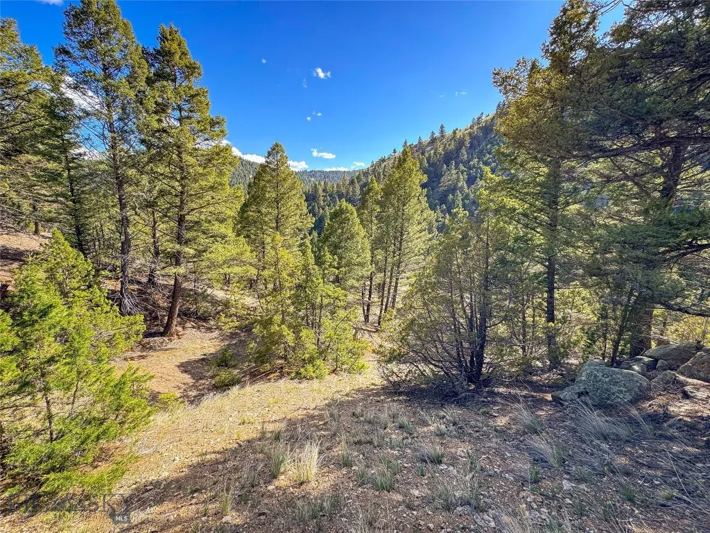 Tbd (28.6+/- Acres) High Ore Road, Boulder, Montan, Boulder, Montana 59632, ,Land,For Sale,Tbd (28.6+/- Acres) High Ore Road, Boulder, Montan,403157