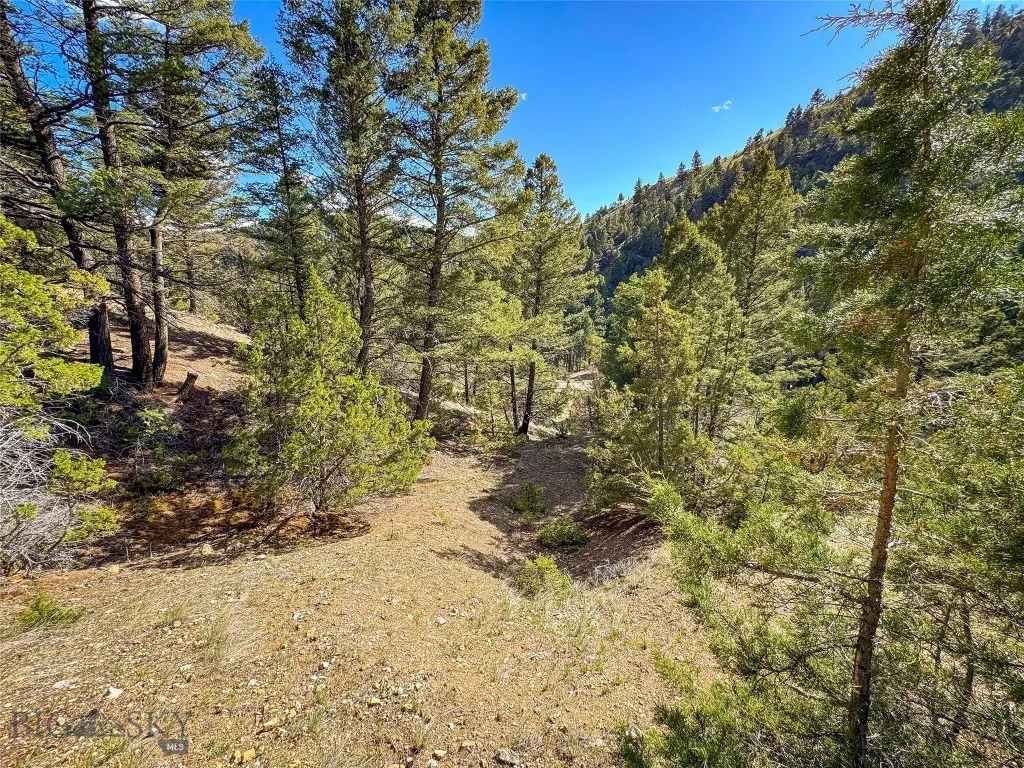 Tbd (28.6+/- Acres) High Ore Road, Boulder, Montan, Boulder, Montana 59632, ,Land,For Sale,Tbd (28.6+/- Acres) High Ore Road, Boulder, Montan,403157