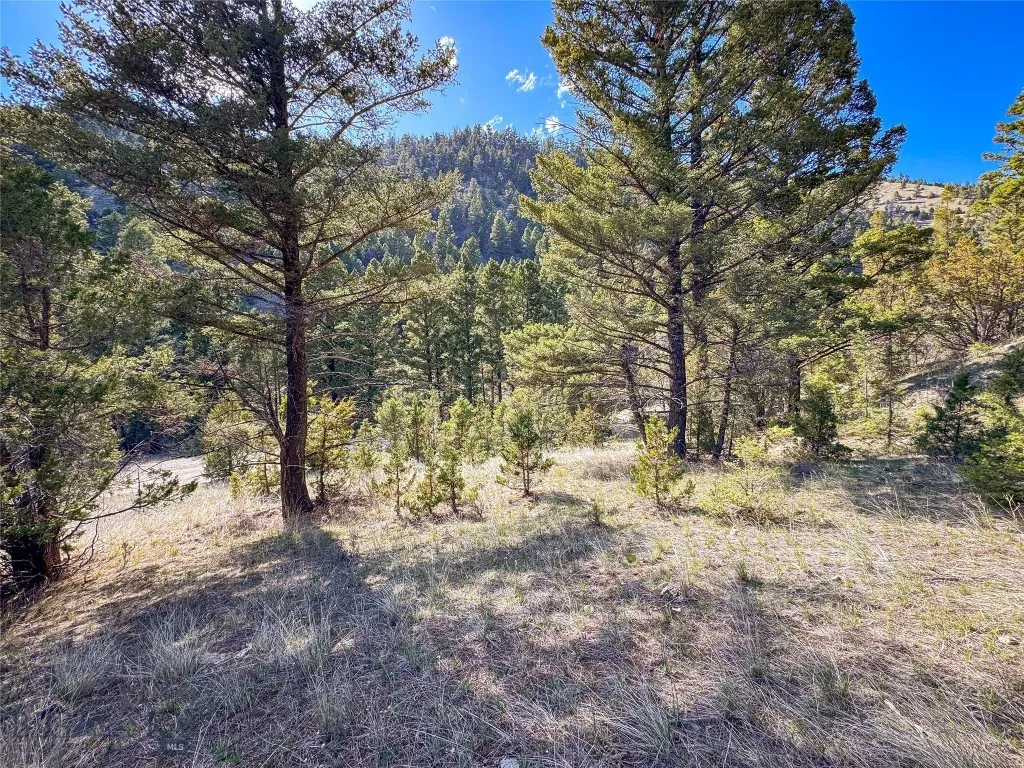 Tbd (28.6+/- Acres) High Ore Road, Boulder, Montan, Boulder, Montana 59632, ,Land,For Sale,Tbd (28.6+/- Acres) High Ore Road, Boulder, Montan,0,403157