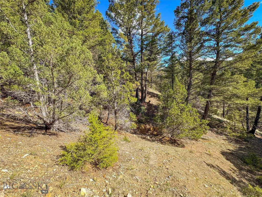 Tbd (28.6+/- Acres) High Ore Road, Boulder, Montan, Boulder, Montana 59632, ,Land,For Sale,Tbd (28.6+/- Acres) High Ore Road, Boulder, Montan,403157