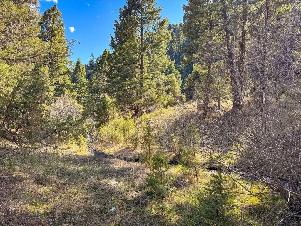 Tbd (12.7+/- Acres) High Ore Road, Boulder, Montan, Boulder, Montana 59632, ,Land,For Sale,Tbd (12.7+/- Acres) High Ore Road, Boulder, Montan,403159