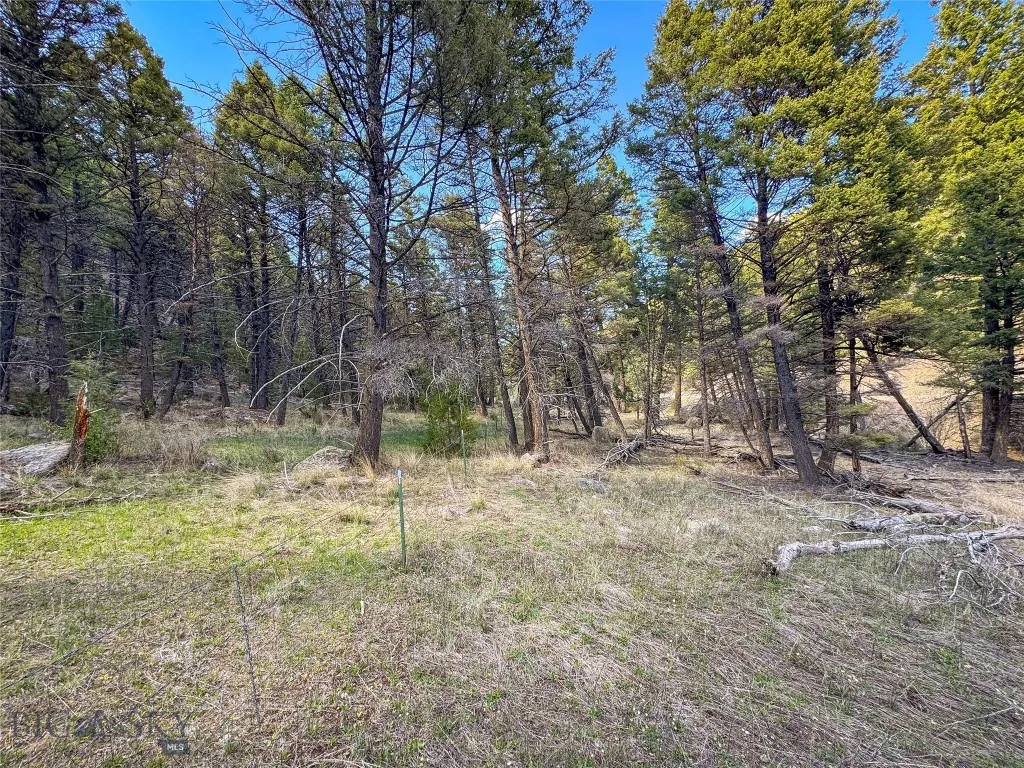 Tbd (12.7+/- Acres) High Ore Road, Boulder, Montan, Boulder, Montana 59632, ,Land,For Sale,Tbd (12.7+/- Acres) High Ore Road, Boulder, Montan,403159