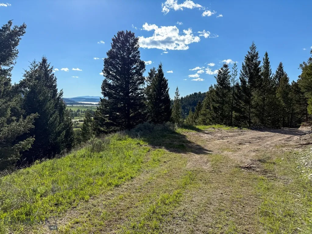 Tbd (5.4+/- Acres) Gold Coin Lane, Anaconda, Monta, Anaconda, Montana 59711, ,Land,For Sale,Tbd (5.4+/- Acres) Gold Coin Lane, Anaconda, Monta,403160