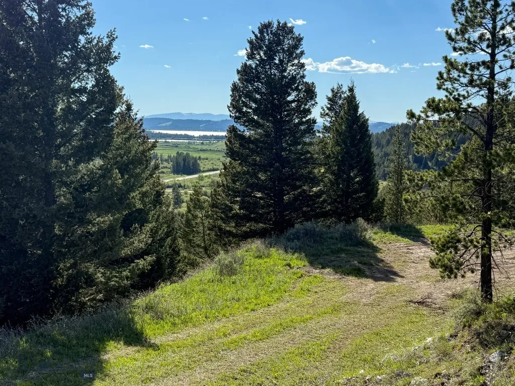 Tbd (5.4+/- Acres) Gold Coin Lane, Anaconda, Monta, Anaconda, Montana 59711, ,Land,For Sale,Tbd (5.4+/- Acres) Gold Coin Lane, Anaconda, Monta,403160