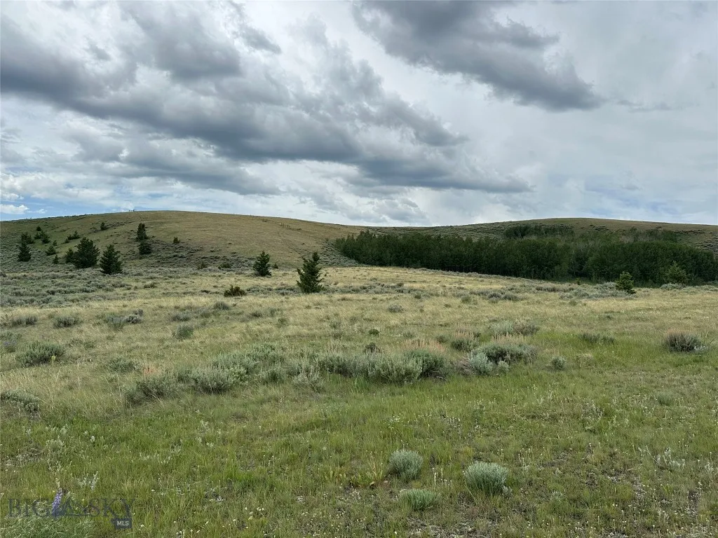 64 Mountain View Trail, White Sulphur Springs, Mon, White Sulphur Springs, Montana 59645, 4 Bedrooms Bedrooms, ,2 BathroomsBathrooms,Residential,For Sale,64 Mountain View Trail, White Sulphur Springs, Mon,403201