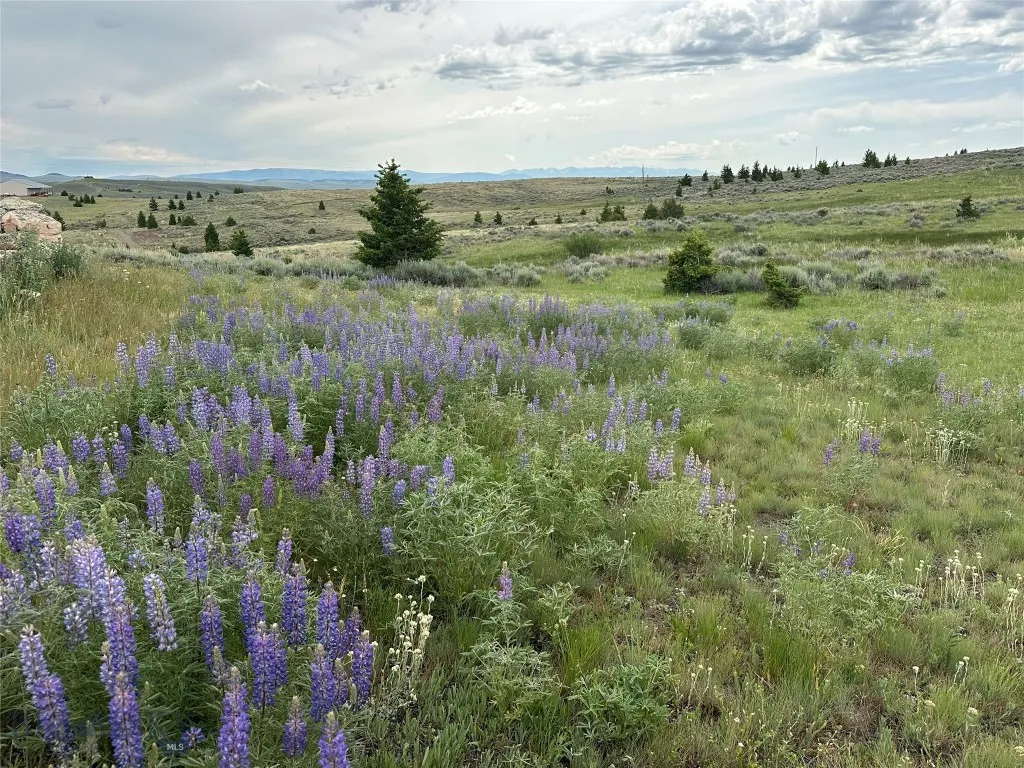 64 Mountain View Trail, White Sulphur Springs, Mon, White Sulphur Springs, Montana 59645, 4 Bedrooms Bedrooms, ,2 BathroomsBathrooms,Residential,For Sale,64 Mountain View Trail, White Sulphur Springs, Mon,403201