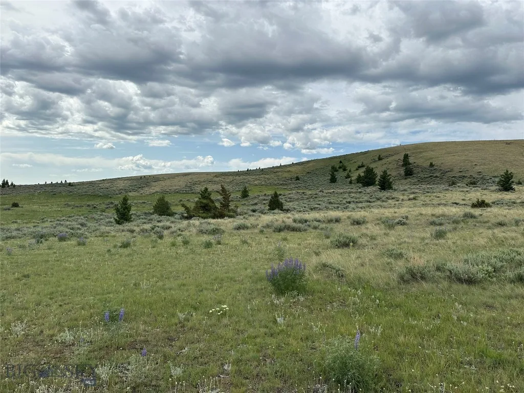 64 Mountain View Trail, White Sulphur Springs, Mon, White Sulphur Springs, Montana 59645, 4 Bedrooms Bedrooms, ,2 BathroomsBathrooms,Residential,For Sale,64 Mountain View Trail, White Sulphur Springs, Mon,403201