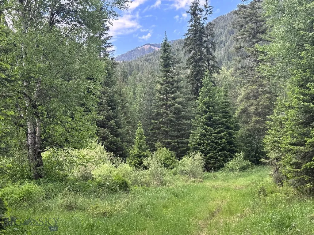 189 Blue Creek Road, Heron, Montana 59844, Heron, Montana 59844, 3 Bedrooms Bedrooms, ,2 BathroomsBathrooms,Residential,For Sale,189 Blue Creek Road, Heron, Montana 59844,403153