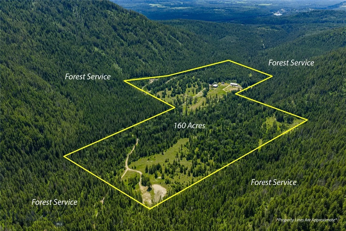 189 Blue Creek Road, Heron, Montana 59844, Heron, Montana 59844, 3 Bedrooms Bedrooms, ,2 BathroomsBathrooms,Residential,For Sale,189 Blue Creek Road, Heron, Montana 59844,403153