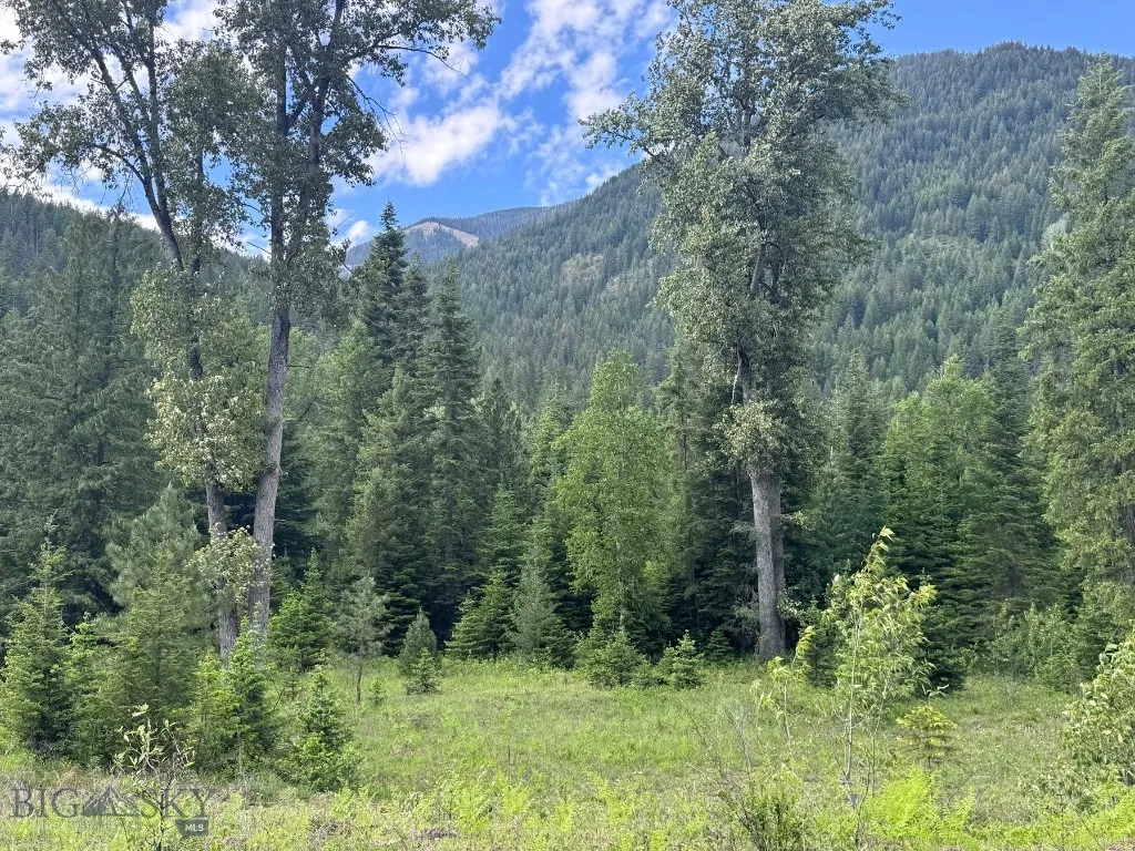 189 Blue Creek Road, Heron, Montana 59844, Heron, Montana 59844, 3 Bedrooms Bedrooms, ,2 BathroomsBathrooms,Residential,For Sale,189 Blue Creek Road, Heron, Montana 59844,403153