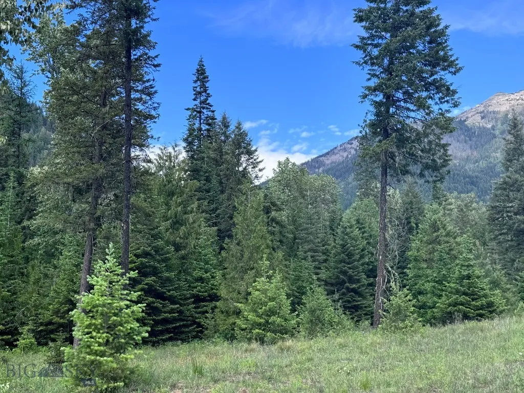 189 Blue Creek Road, Heron, Montana 59844, Heron, Montana 59844, 3 Bedrooms Bedrooms, ,2 BathroomsBathrooms,Residential,For Sale,189 Blue Creek Road, Heron, Montana 59844,403153