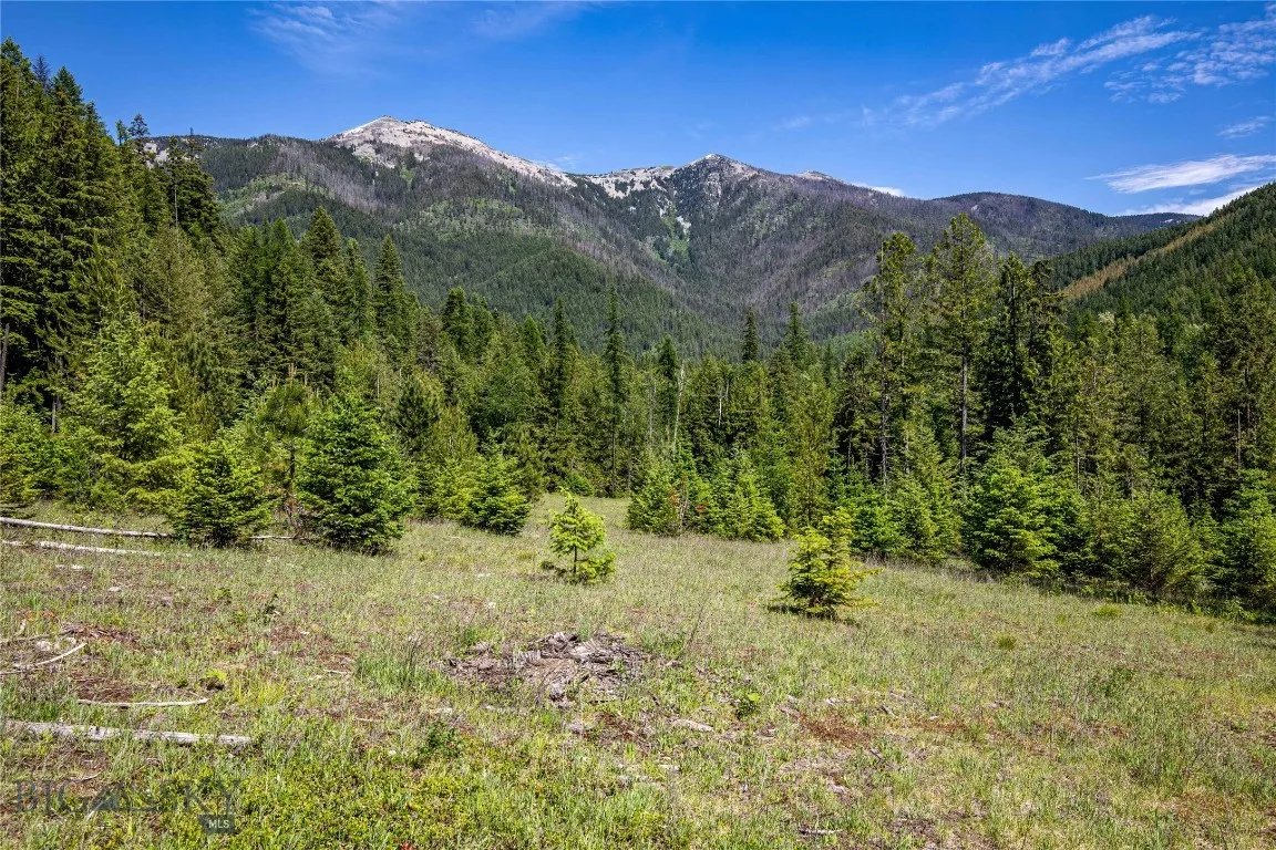 189 Blue Creek Road, Heron, Montana 59844, Heron, Montana 59844, 3 Bedrooms Bedrooms, ,2 BathroomsBathrooms,Residential,For Sale,189 Blue Creek Road, Heron, Montana 59844,403153