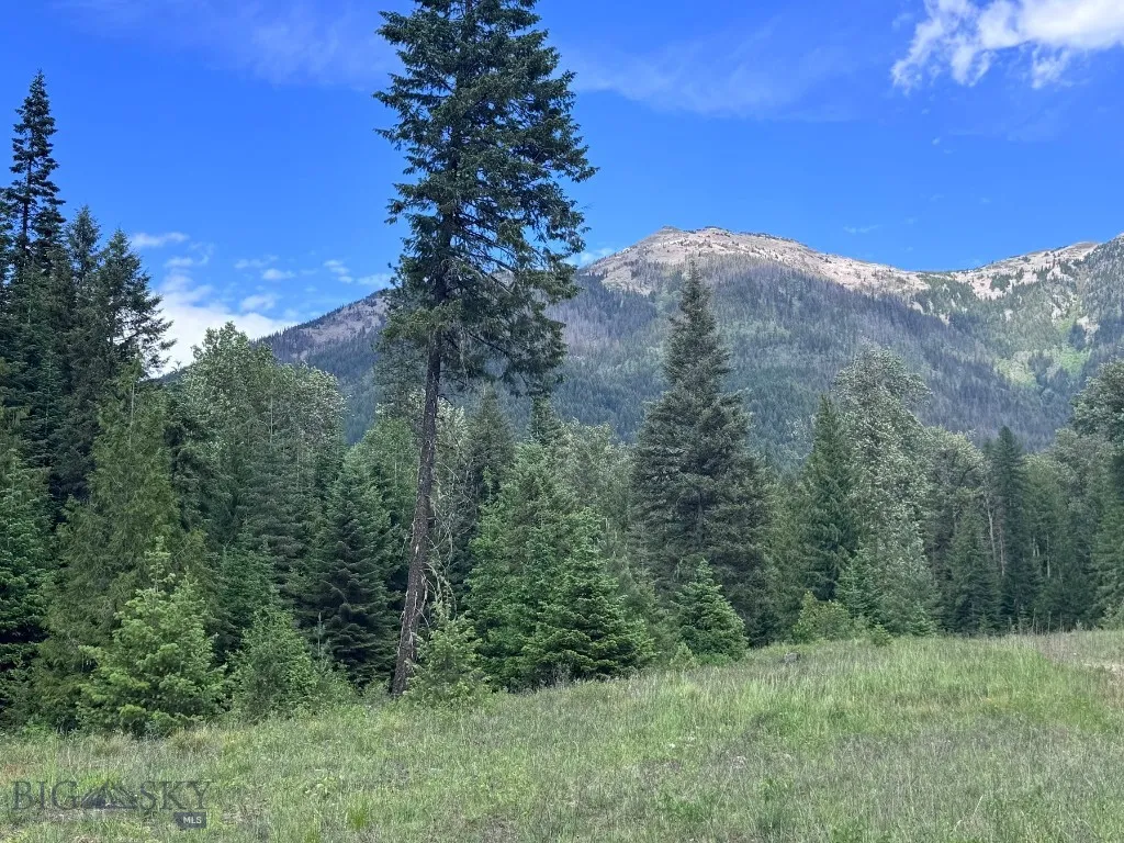 189 Blue Creek Road, Heron, Montana 59844, Heron, Montana 59844, 3 Bedrooms Bedrooms, ,2 BathroomsBathrooms,Residential,For Sale,189 Blue Creek Road, Heron, Montana 59844,403153