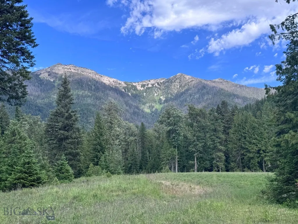189 Blue Creek Road, Heron, Montana 59844, Heron, Montana 59844, 3 Bedrooms Bedrooms, ,2 BathroomsBathrooms,Residential,For Sale,189 Blue Creek Road, Heron, Montana 59844,403153