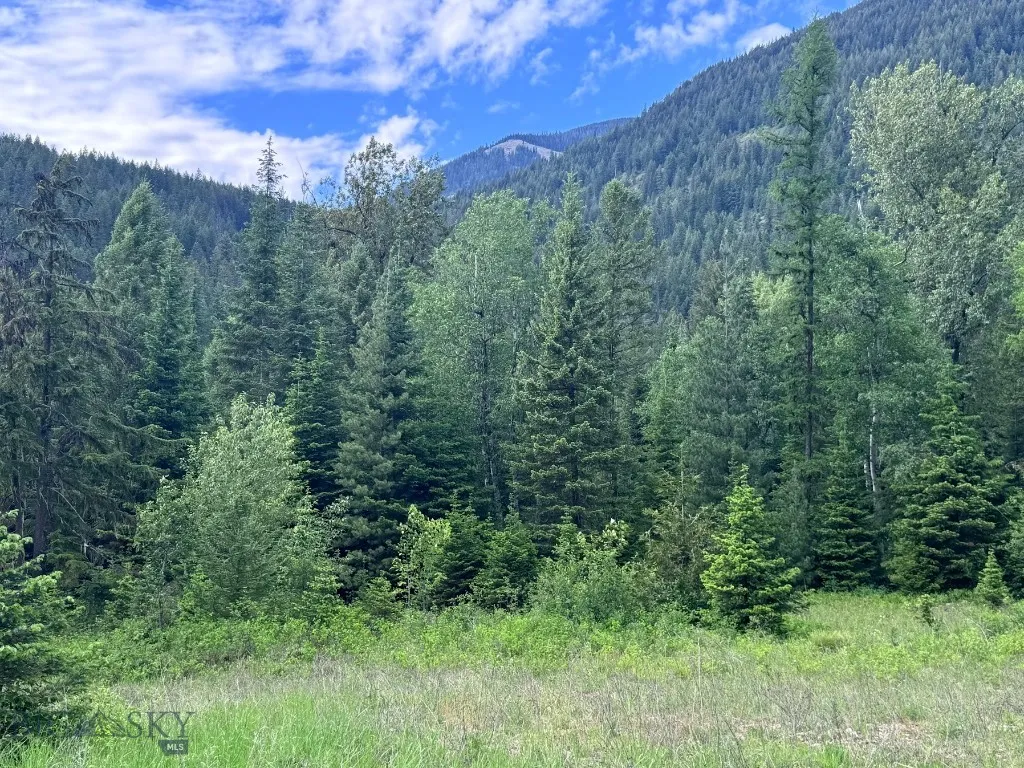 189 Blue Creek Road, Heron, Montana 59844, Heron, Montana 59844, 3 Bedrooms Bedrooms, ,2 BathroomsBathrooms,Residential,For Sale,189 Blue Creek Road, Heron, Montana 59844,403153