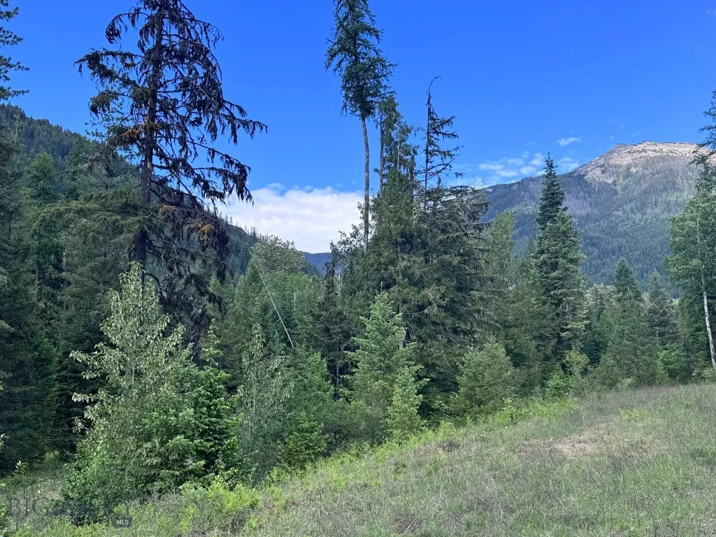 189 Blue Creek Road, Heron, Montana 59844, Heron, Montana 59844, 3 Bedrooms Bedrooms, ,2 BathroomsBathrooms,Residential,For Sale,189 Blue Creek Road, Heron, Montana 59844,403153