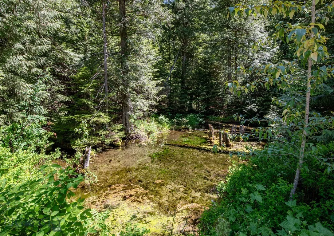 189 Blue Creek Road, Heron, Montana 59844, Heron, Montana 59844, 3 Bedrooms Bedrooms, ,2 BathroomsBathrooms,Residential,For Sale,189 Blue Creek Road, Heron, Montana 59844,403153
