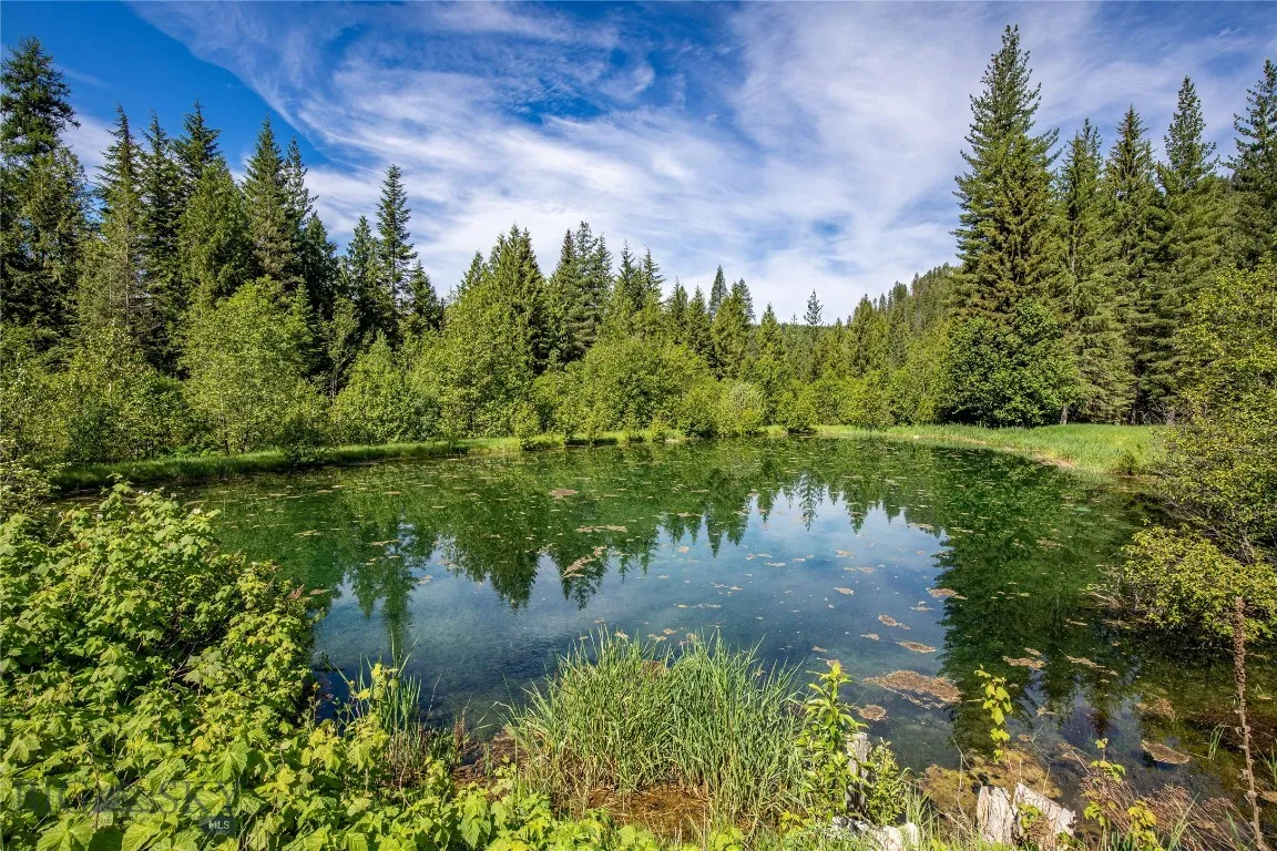 189 Blue Creek Road, Heron, Montana 59844, Heron, Montana 59844, 3 Bedrooms Bedrooms, ,2 BathroomsBathrooms,Residential,For Sale,189 Blue Creek Road, Heron, Montana 59844,403153