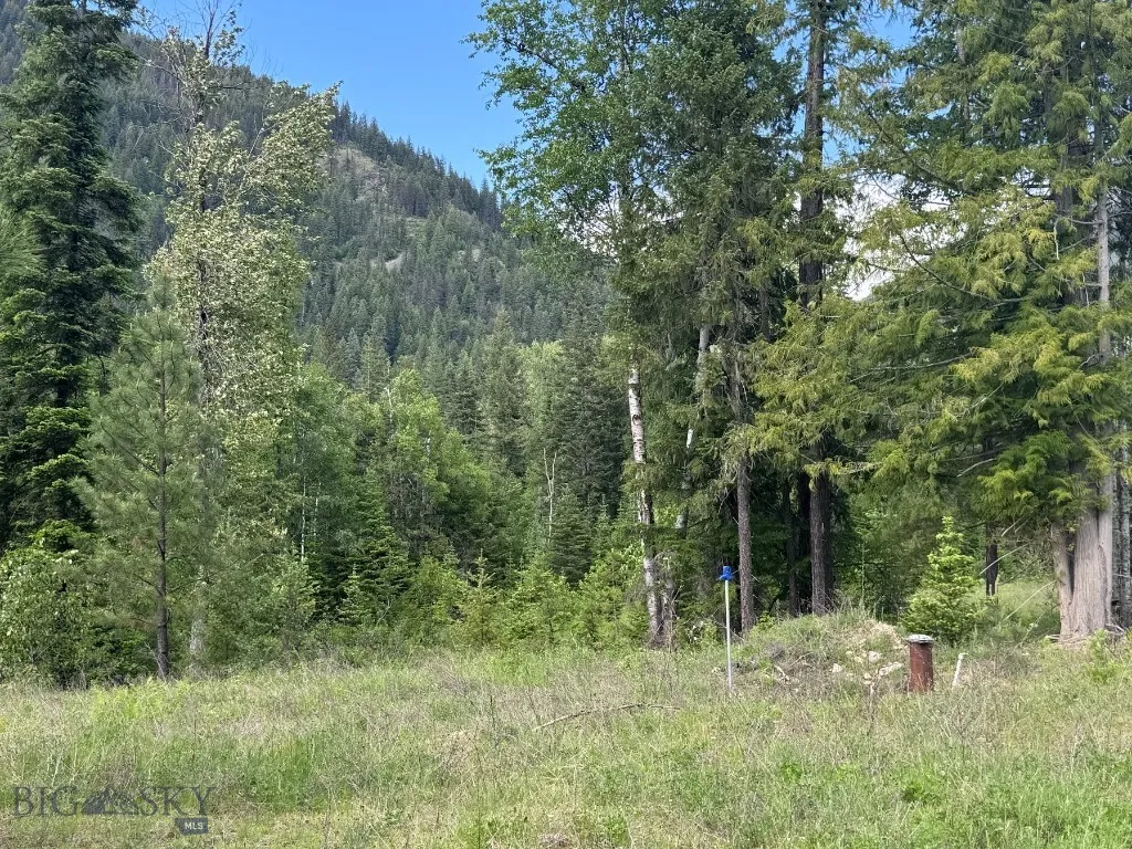 189 Blue Creek Road, Heron, Montana 59844, Heron, Montana 59844, 3 Bedrooms Bedrooms, ,2 BathroomsBathrooms,Residential,For Sale,189 Blue Creek Road, Heron, Montana 59844,403153
