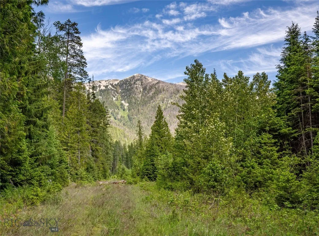 189 Blue Creek Road, Heron, Montana 59844, Heron, Montana 59844, 3 Bedrooms Bedrooms, ,2 BathroomsBathrooms,Residential,For Sale,189 Blue Creek Road, Heron, Montana 59844,403153