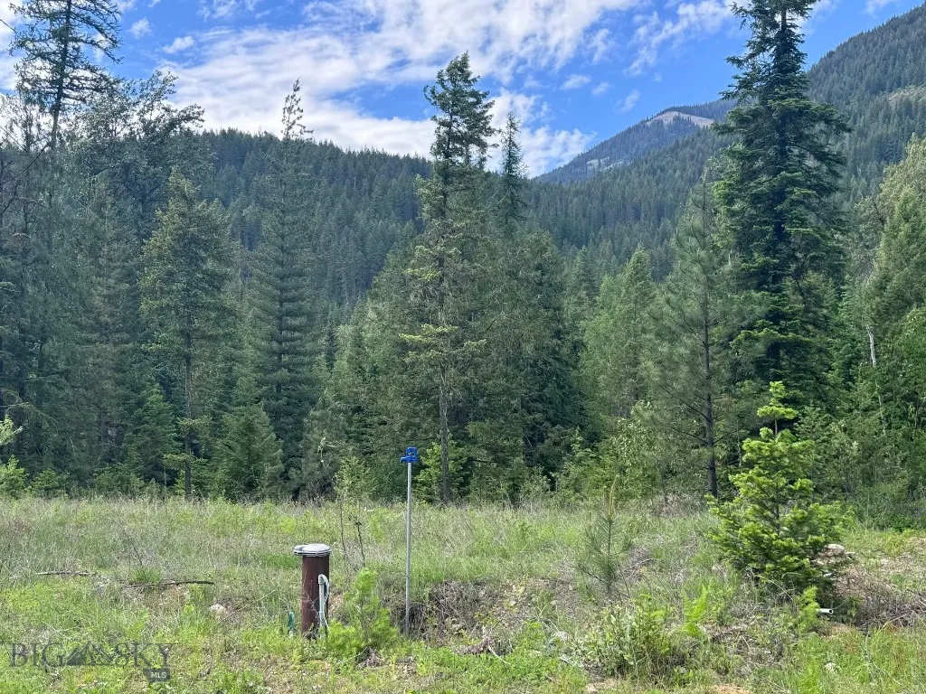 189 Blue Creek Road, Heron, Montana 59844, Heron, Montana 59844, 3 Bedrooms Bedrooms, ,2 BathroomsBathrooms,Residential,For Sale,189 Blue Creek Road, Heron, Montana 59844,403153