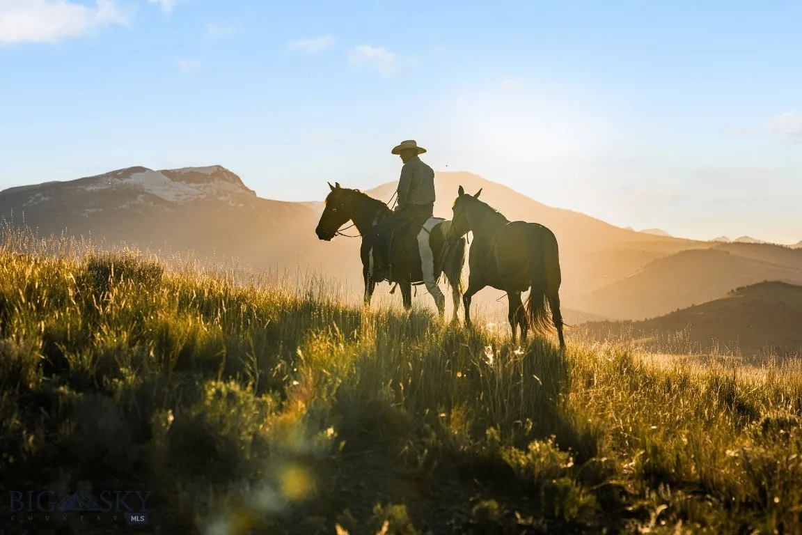A horse paradise!