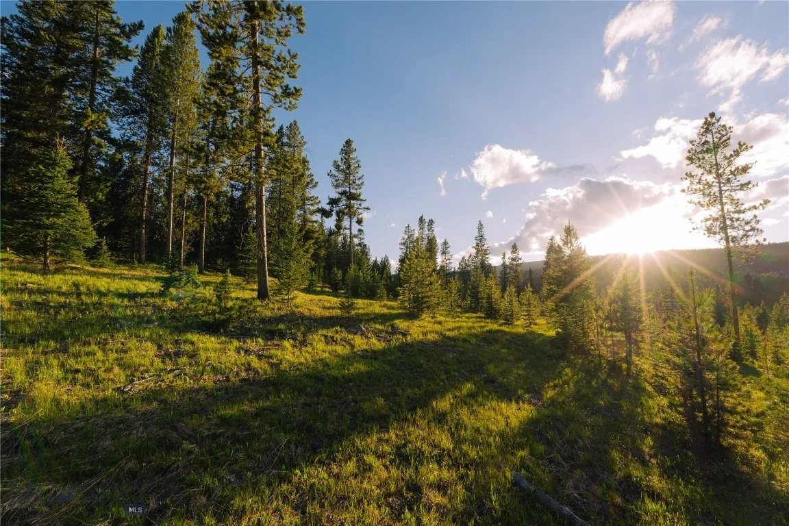 Lot 205 Outlook Trail, Big Sky, Montana 59716, Big Sky, Montana 59716, ,Land,For Sale,Lot 205 Outlook Trail, Big Sky, Montana 59716,402570