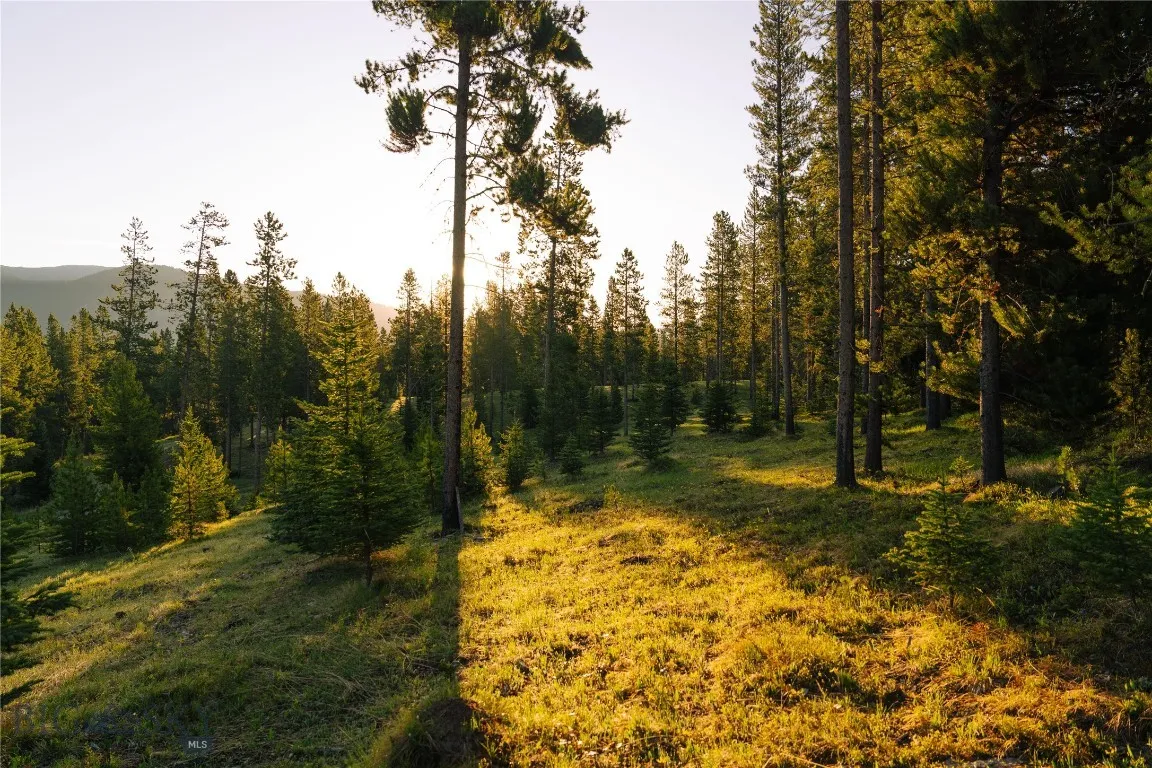 Lot 205 Outlook Trail, Big Sky, Montana 59716, Big Sky, Montana 59716, ,Land,For Sale,Lot 205 Outlook Trail, Big Sky, Montana 59716,402570