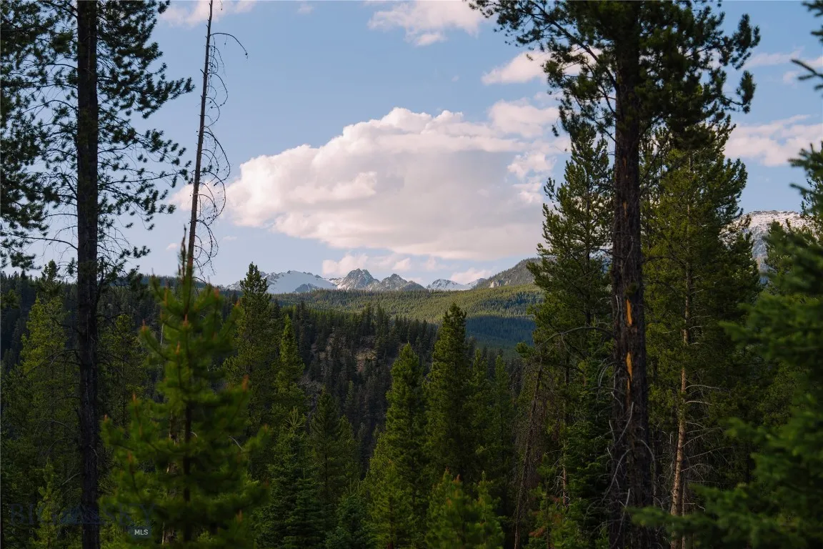 Lot 205 Outlook Trail, Big Sky, Montana 59716, Big Sky, Montana 59716, ,Land,For Sale,Lot 205 Outlook Trail, Big Sky, Montana 59716,402570