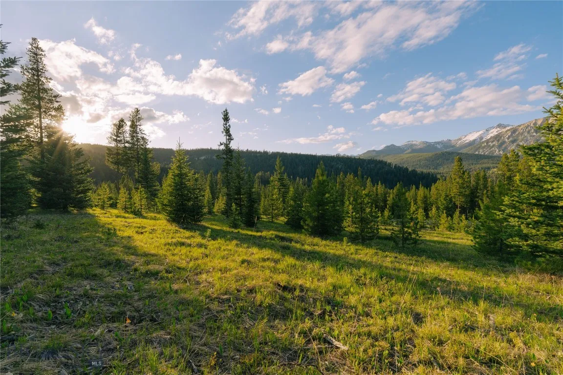 Lot 205 Outlook Trail, Big Sky, Montana 59716, Big Sky, Montana 59716, ,Land,For Sale,Lot 205 Outlook Trail, Big Sky, Montana 59716,402570