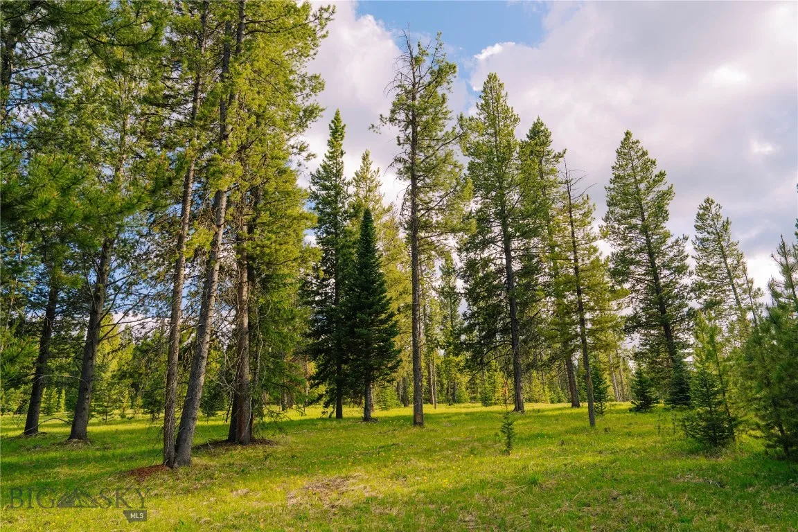 Lot 205 Outlook Trail, Big Sky, Montana 59716, Big Sky, Montana 59716, ,Land,For Sale,Lot 205 Outlook Trail, Big Sky, Montana 59716,402570