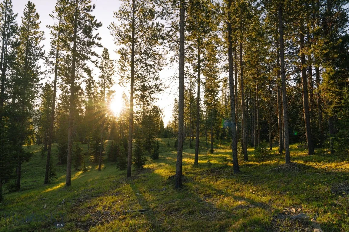 Lot 205 Outlook Trail, Big Sky, Montana 59716, Big Sky, Montana 59716, ,Land,For Sale,Lot 205 Outlook Trail, Big Sky, Montana 59716,402570